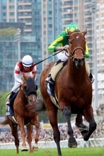 【香港スプリント】日本のスプリントＧ１馬２頭参戦もカーインライジングが完勝　サトノレーヴの９着が最高