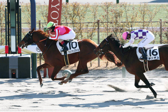 【京都４Ｒ・３歳新馬】米国産馬アメリカンスタイルが競り勝つ　ルメール騎手「ブリンカーも良かったです」