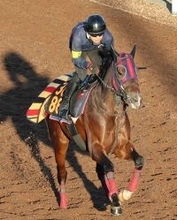 【シンザン記念】ルメール騎手騎乗で１番人気のモノポリオは５着