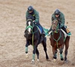 【プロキオンＳ】ブライアンセンスが好仕上がり　斎藤誠調教師「先週より素軽さあった」