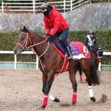 さらに人気上昇のフォーエバーヤング！　３競走で日本馬が１番人気のサウジカップデー　海外ブックメーカー最新オッズ