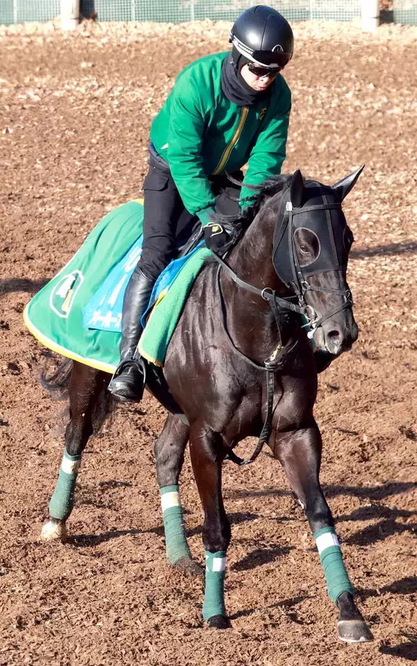 【阪急杯】ヤンキーバローズが馬具効果で復活Ｖ狙う　陣営「ためる競馬ができるんじゃないか」
