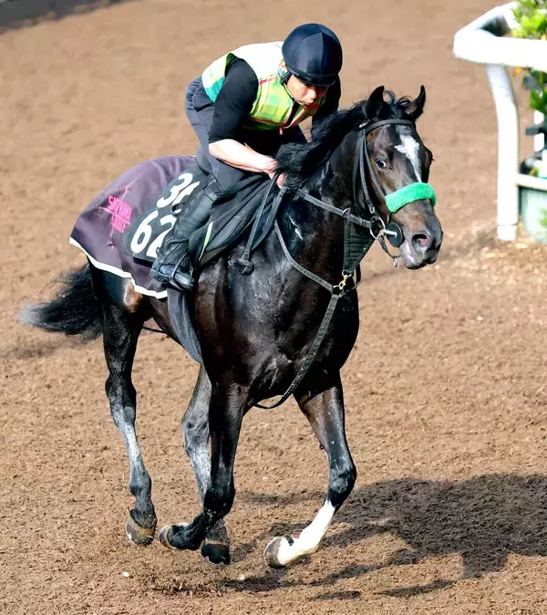 【ユニコーンＳ】底を見せないメルカントゥールは距離延長がプラス　杉山晴調教師「かえって１９００メートルの方が…」