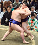 「自己最高位の幕内・藤青雲が２勝目　審判交代をはさむ幕内後半戦始めの１、２番の準備の難しさを明かす」の画像1