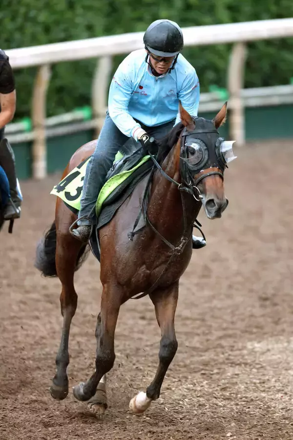 【中京２歳Ｓ】絶好調の父の勢いに乗る！シスキンブルームが連勝へ　斉藤崇調教師「ひと回り大きくなった感じです」
