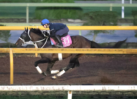 【ローズＳ・１週前】フラワーＣ勝ちスマートプリエールは新コンビ田山旺佑騎手騎乗でラスト１０秒９　「芯の強さを感じます」