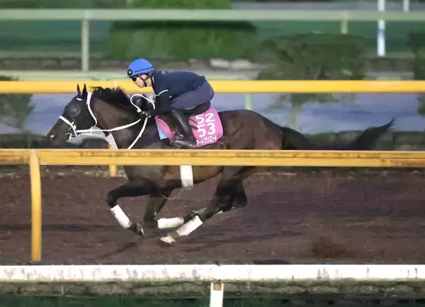 【ローズＳ・１週前】フラワーＣ勝ちスマートプリエールは新コンビ田山旺佑騎手騎乗でラスト１０秒９　「芯の強さを感じます」