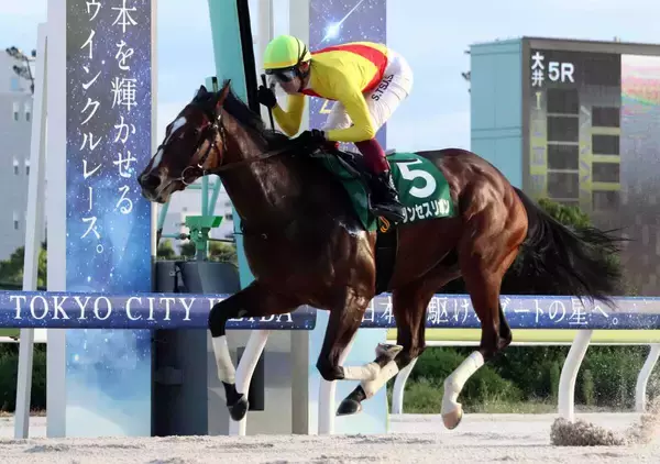 【大井競馬】良血プリンセスリボンが新馬戦圧勝　兄は全日本２歳優駿、東京ダービー馬アランバローズ