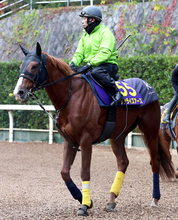 【ジャパンＣ】サンライズアースは前走から格段に状態アップ　陣営「夏負けの影響もなく９・５割の仕上がり」