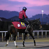 「【ホープフルステークス】馬トク外厩情報…ホープフルステークスの勝ち馬に共通する“意外な条件”とは」の画像1