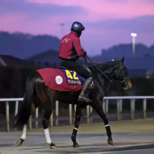 【ホープフルステークス】馬トク外厩情報…ホープフルステークスの勝ち馬に共通する“意外な条件”とは