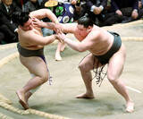 「史上最強の新弟子・旭富士、序ノ口V　優勝決定戦で同部屋の蒼富士破る「緊張はなかった」」の画像1