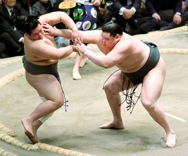 史上最強の新弟子・旭富士、序ノ口V　優勝決定戦で同部屋の蒼富士破る「緊張はなかった」