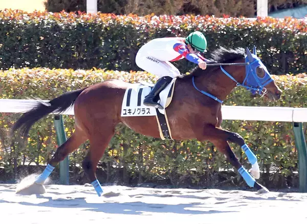 【東京４Ｒ・３歳新馬】ユキノグラスが逃走Ｖ　直線が長い東京で１～４Ｒは逃げ馬が全て勝利