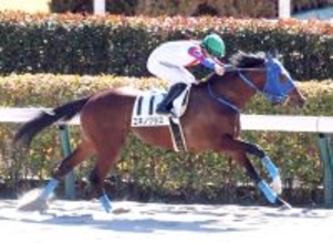 【東京４Ｒ・３歳新馬】ユキノグラスが逃走Ｖ　直線が長い東京で１～４Ｒは逃げ馬が全て勝利