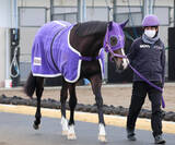 「【ＰＯＧ】厩舎ゆかりの血統タマモブレイキン　伊藤圭調教師「きょうだいも走っているし、いい競馬ができそう」」の画像1