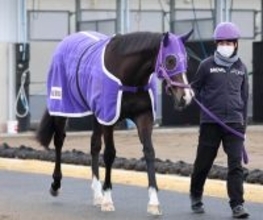 【ＰＯＧ】厩舎ゆかりの血統タマモブレイキン　伊藤圭調教師「きょうだいも走っているし、いい競馬ができそう」