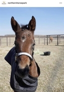 寝る子は育つ！？「誕生からわずか１日で…」驚異の成長見せるフォーエバーヤング全妹の誕生にＳＮＳ歓喜「素晴らしい」