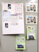 【船橋競馬】１０歳を迎えたＪＢＣクラシック優勝馬　誘導馬の現在は幼稚園生とのふれあいも