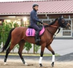 【注目馬動向】スイートピーＳを制したカナルサンマルタンは優先出走権獲得のオークスへは向かわず