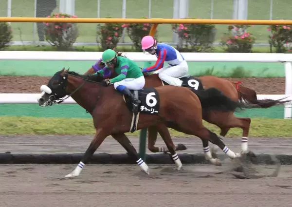 【函館１０Ｒ・檜山特別】単勝１・３倍の１番人気チャーリー快勝　奥村武調教師「相手がしぶとくてドキドキしました」