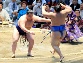 幕内２場所目の若ノ勝が無傷の５連勝　中盤戦へ「しっかり体のケアもして、集中してやりたい」