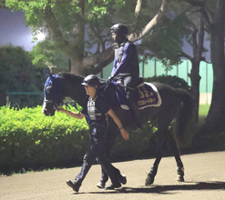 【キングジョージ】マスカレードボール、ヴェルテンベルクは着外に敗れる　日本馬の悲願達成ならず