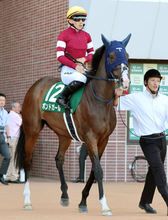 最強の１勝馬ボンドガールが引退　手塚久調教師「いい子を出して、また手塚厩舎を盛り上げてくれたらうれしい」