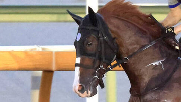 【ＰＯＧ談義】現場記者がジョッキー直撃「動ける態勢」の良血馬が中京で初陣　新馬４戦４勝と絶好調馬主の期待馬も