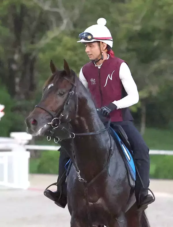 【新潟記念】Ｇ１馬に挑むダノンシーマは初の舞台がカギ　陣営「新潟にうまく対応できれば」