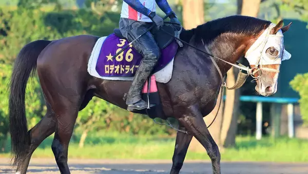 【注目馬動向】ロデオドライブの繋靭帯脚部の炎症は軽度と判明　騎乗運動を近々開始へ　今年のＮＨＫマイルＣ覇者