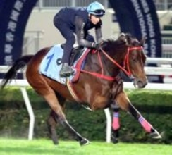 【香港Ｃ・ライバル診断】ロマンチックウォリアーは当舞台＆Ｊマック騎手なら９戦無敗　嫌う要素なし