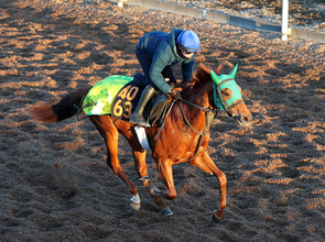 「ゲートは抜群に速い」ロイヤルファミリー役が有馬記念前日にデビューへ　陣営も自信のブレイヴソルジャー