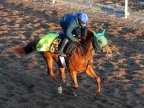 ロイヤルファミリー役が有馬記念前日にデビューへ　「ゲートは抜群に速い」陣営も自信のブレイヴソルジャー