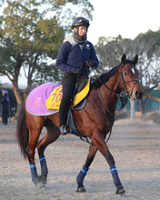 ２０２２年ファンタジーＳの覇者リバーラが抹消　坂東牧場で繁殖牝馬に