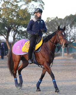 ２０２２年ファンタジーＳの覇者リバーラが抹消　板東牧場で繁殖牝馬に