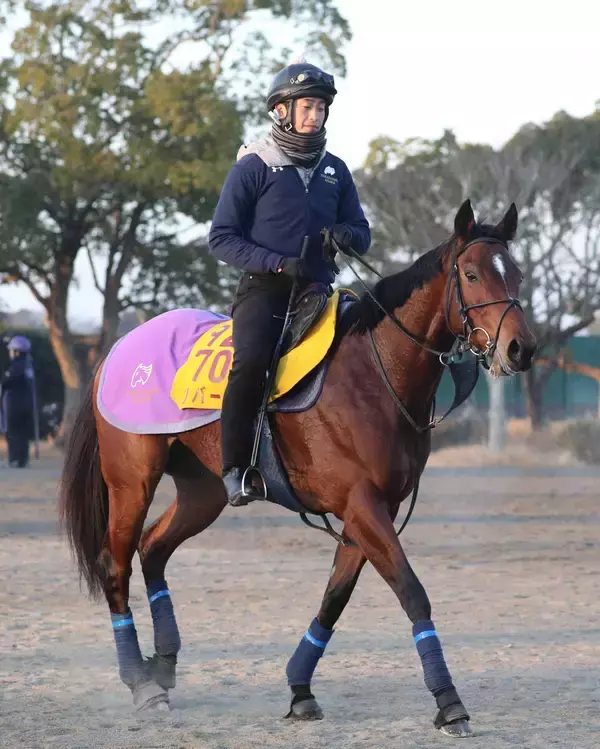 ２０２２年ファンタジーＳの覇者リバーラが抹消　坂東牧場で繁殖牝馬に