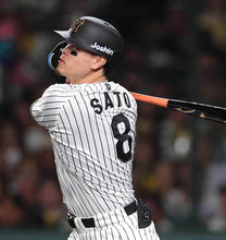 佐藤輝明、ＷＢＣ初出場　井端監督「日本球界で一番の飛距離」岡本＆村上と守備位置重複も昨季セ２冠