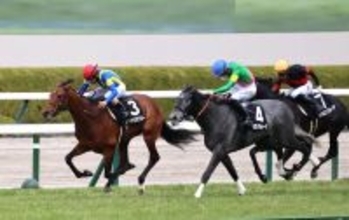 【阪神９Ｒ・ゆきやなぎ賞】シャドウマスターがＶ　北村友一騎手「まだまだ良くなってくる」キミノナハマリアの半弟