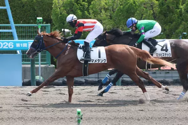 函館で２６年ぶりの衝撃レコード！　マメタンクが１勝クラスで更新　斎藤新騎手「力があるのは分かっていました」