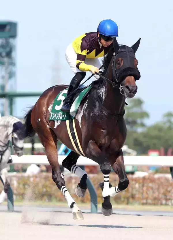 【東海Ｓ】単勝１・８倍で１番人気のドンインザムードは３着　今野調教師「パサパサのダートが合わないのかも」