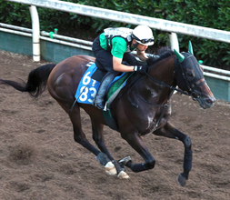 【新潟記念】前走だけでは見限れないサヴォーナ　中竹調教師「休み明けで勝った２走前よりもいい」