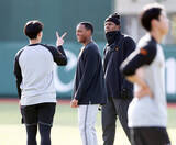 「【巨人】ジャパニーズドリーム目指す外国人の姿も　ルシアーノらが育成選手練習に参加」の画像1