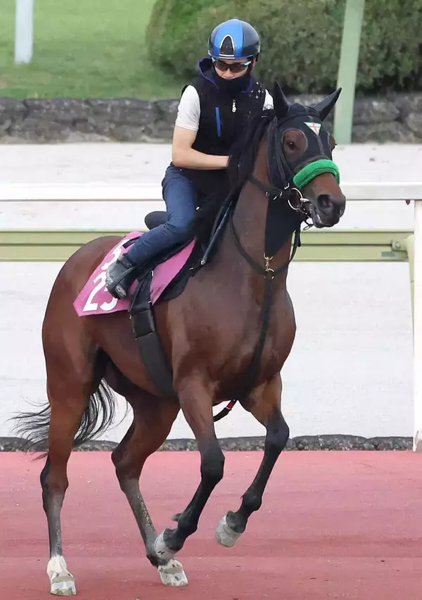 【小倉牝馬Ｓ・１週前】テレサが重賞初制覇へ６ハロン８０秒を切る好時計　松山弘平騎手「言うことありません」
