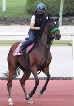 【小倉牝馬Ｓ・１週前】テレサが重賞初制覇へ６ハロン８０秒を切る好時計　松山弘平騎手「言うことありません」