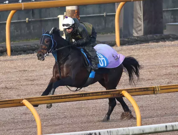 【日経新春杯】武豊騎手とコンビ復活のサブマリーナが一変狙う　陣営「パワーアップした感じはありますよ」