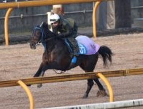 【日経新春杯】武豊騎手とコンビ復活のサブマリーナが一変狙う　陣営「パワーアップした感じはありますよ」