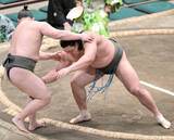 「幕下付け出しの和歌ノ富士が勝ち越し　「自分的にはまだまだこれから。あと２番勝って、楽しく終わりたい」」の画像1