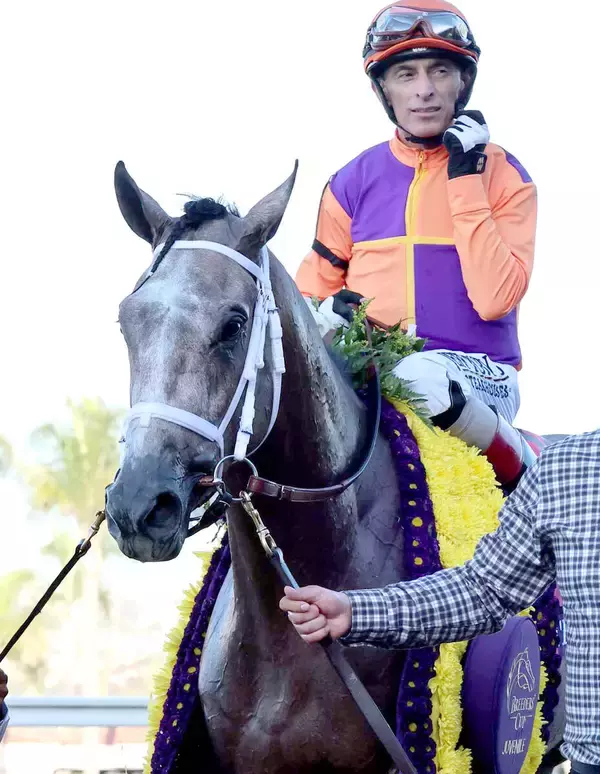 ケンタッキーダービー最有力候補テッドノフィーが故障離脱　３冠参戦を断念して夏以降の復帰へ