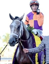 ケンタッキーダービー最有力候補テッドノフィーが故障離脱　３冠参戦を断念して夏以降の復帰へ